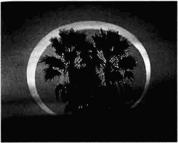 Иллюстрация к книге — Пегая орда. История «древнего» Китая [i_018.jpg]