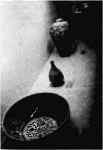 Иллюстрация к книге — Пегая орда. История «древнего» Китая [i_072.jpg]