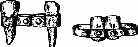 Иллюстрация к книге — Славянское завоевание мира [i_071.jpg]