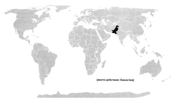 Иллюстрация к книге — История Икбала [i_002.jpg]