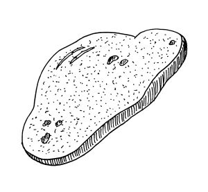 Иллюстрация к книге — Диабет. Советы и рекомендации ведущих врачей [i_014.jpg]