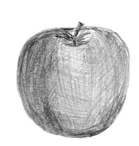 Иллюстрация к книге — Диабет. Советы и рекомендации ведущих врачей [i_017.jpg]