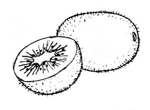 Иллюстрация к книге — Диабет. Советы и рекомендации ведущих врачей [i_018.jpg]