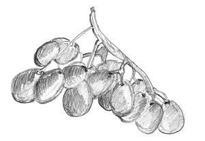 Иллюстрация к книге — Диабет. Советы и рекомендации ведущих врачей [i_019.jpg]