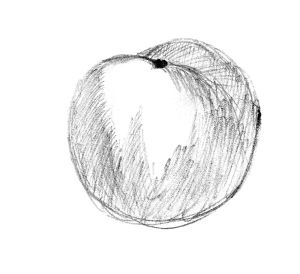 Иллюстрация к книге — Диабет. Советы и рекомендации ведущих врачей [i_026.jpg]