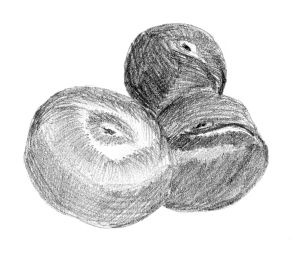 Иллюстрация к книге — Диабет. Советы и рекомендации ведущих врачей [i_027.jpg]