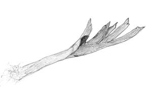 Иллюстрация к книге — Диабет. Советы и рекомендации ведущих врачей [i_033.jpg]