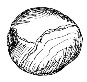 Иллюстрация к книге — Диабет. Советы и рекомендации ведущих врачей [i_038.jpg]