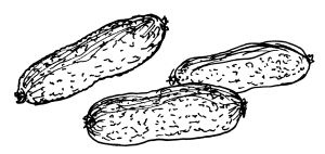 Иллюстрация к книге — Диабет. Советы и рекомендации ведущих врачей [i_039.jpg]