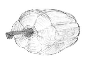 Иллюстрация к книге — Диабет. Советы и рекомендации ведущих врачей [i_040.jpg]