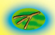 Иллюстрация к книге — СМС-загадки от Бабы Яги [i_077.jpg]