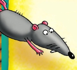 Иллюстрация к книге — Морской дозор [i_029.jpg]