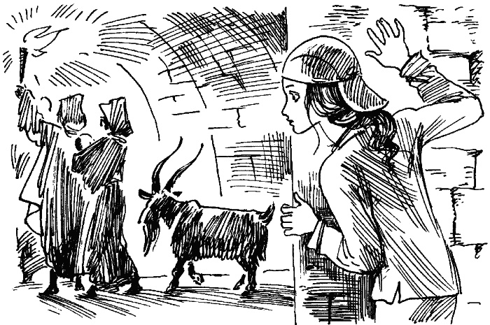 Иллюстрация к книге — Бердолька Чарли и Гертруды Богранд [_03vorgalieeha.jpg]