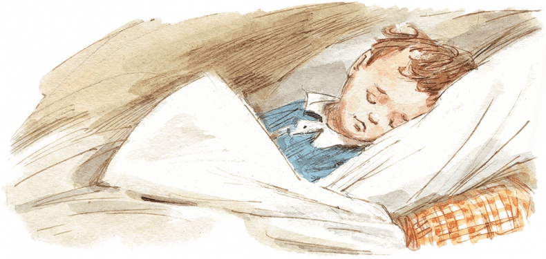 Иллюстрация к книге — Опасное путешествие Щепкина [i_014.jpg]