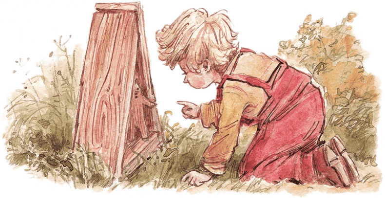 Иллюстрация к книге — Опасное путешествие Щепкина [i_016.jpg]