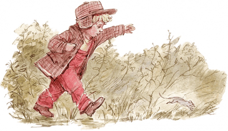 Иллюстрация к книге — Опасное путешествие Щепкина [i_018.jpg]