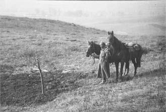 Иллюстрация к книге — Сибирские полки на германском фронте в годы Первой Мировой войны [i_055.jpg]