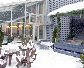 Иллюстрация к книге — SPA, баня, бассейн [i_013.jpg]