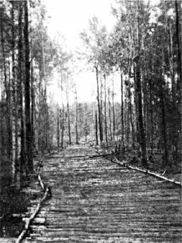 Иллюстрация к книге — Генерал из трясины. Судьба и история Андрея Власова. Анатомия предательства [i_016.jpg]