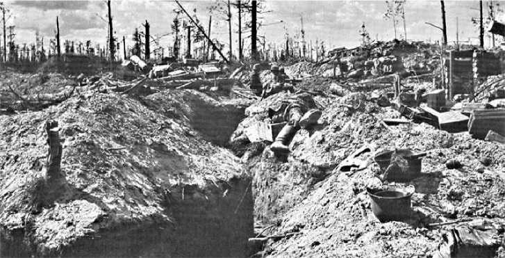 Иллюстрация к книге — Генерал из трясины. Судьба и история Андрея Власова. Анатомия предательства [i_032.jpg]