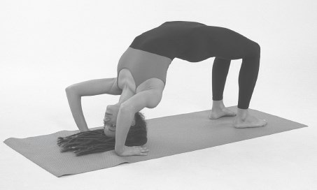 Иллюстрация к книге — Йога для спины [_634.jpg]