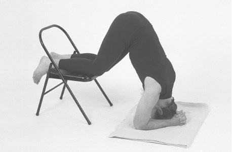 Иллюстрация к книге — Йога для спины [_649.jpg]