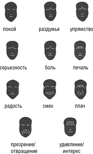 Иллюстрация к книге — Язык тела. Понимай других без слов! [i_001.jpg]