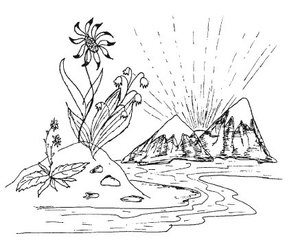 Иллюстрация к книге — Защити свое тело-2. Оптимальное питание [i_001.jpg]