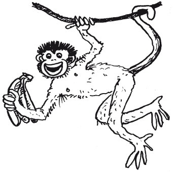 Иллюстрация к книге — Защити свое тело-2. Оптимальное питание [i_008.jpg]