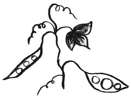 Иллюстрация к книге — Защити свое тело-2. Оптимальное питание [i_015.jpg]