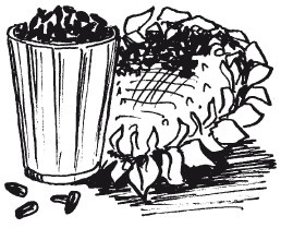 Иллюстрация к книге — Защити свое тело-2. Оптимальное питание [i_016.jpg]