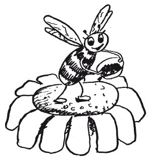 Иллюстрация к книге — Защити свое тело-2. Оптимальное питание [i_022.jpg]