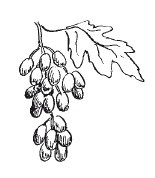 Иллюстрация к книге — Защити свое тело-2. Оптимальное питание [i_031.jpg]