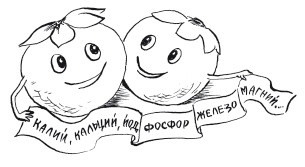 Иллюстрация к книге — Защити свое тело-2. Оптимальное питание [i_033.jpg]