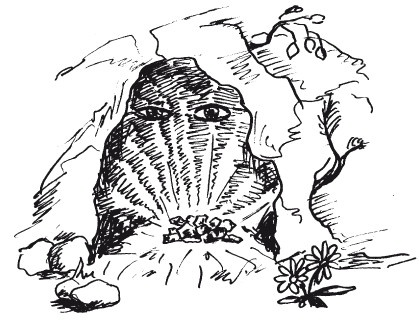 Иллюстрация к книге — Защити свое тело-2. Оптимальное питание [i_046.jpg]