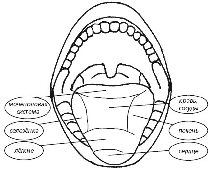 Иллюстрация к книге — Защити свое тело. Оптимальные методы очищения, укрепления и оздоровления [i_004.jpg]