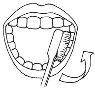 Иллюстрация к книге — Защити свое тело. Оптимальные методы очищения, укрепления и оздоровления [i_007.jpg]