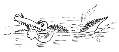 Иллюстрация к книге — Защити свое тело. Оптимальные методы очищения, укрепления и оздоровления [i_010.jpg]