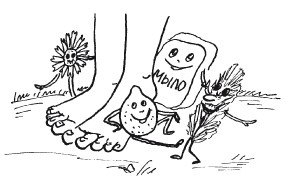 Иллюстрация к книге — Защити свое тело. Оптимальные методы очищения, укрепления и оздоровления [i_023.jpg]