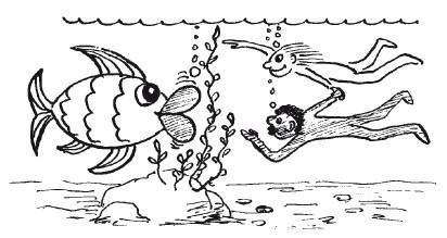 Иллюстрация к книге — Защити свое тело. Оптимальные методы очищения, укрепления и оздоровления [i_024.jpg]