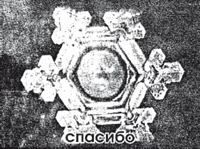 Иллюстрация к книге — Защити свое тело. Оптимальные методы очищения, укрепления и оздоровления [i_042.jpg]