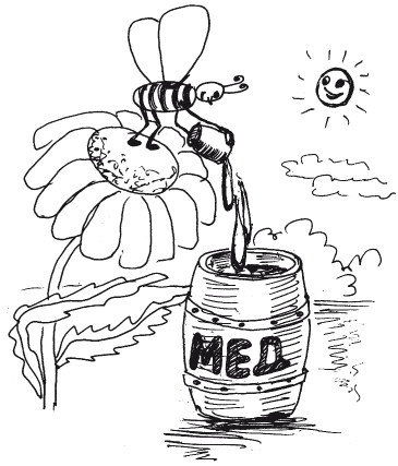 Иллюстрация к книге — Защити свое тело. Оптимальные методы очищения, укрепления и оздоровления [i_077.jpg]