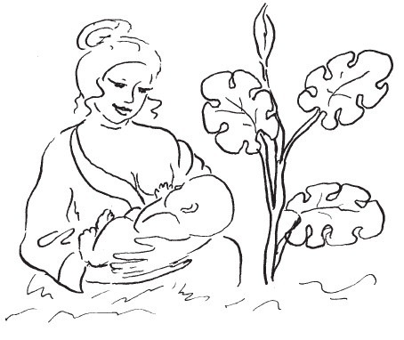 Иллюстрация к книге — Здоровые дети – счастливая семья [Autogen_eBook_id1.jpg]