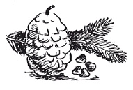 Иллюстрация к книге — Питание [Autogen_eBook_id21.jpg]