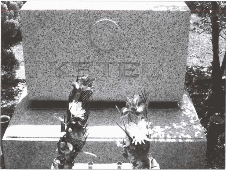 Иллюстрация к книге — Шпионский Токио [i_017.jpg]