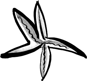 Иллюстрация к книге — Питание и долголетие [_09.jpg]