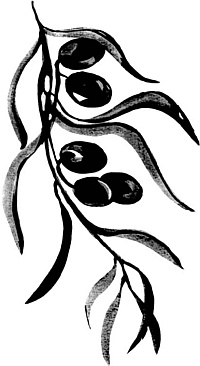 Иллюстрация к книге — Питание и долголетие [_10.jpg]