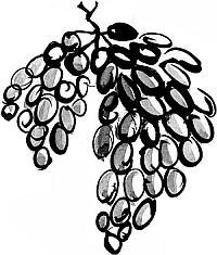 Иллюстрация к книге — Питание и долголетие [_11.jpg]