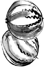 Иллюстрация к книге — Питание и долголетие [_112.jpg]