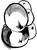 Иллюстрация к книге — Питание и долголетие [_114.jpg]